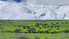 Bu kentin bir yanında bahar, bir yanında kış var