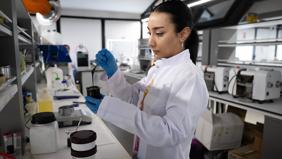 Tamamı ithal ediliyordu, artık Türkiye'de üretiliyor: Yerli 'gümüş pasta' sahaya indi