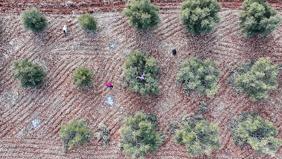 9 ilde 301 milyon liralık yatırım desteği: İşte o şehirler