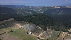850 metre rakımda yetiştirip yurt içi ve yurt dışına satıyorlar