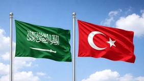 Suudi Arabistan'dan Türkiye'ye uzanacak elektrik koridoru için yeni adım