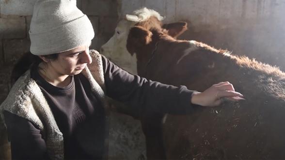Iğdırlı kadın girişimcinin başarısı hayvancılıkta örnek oluyor