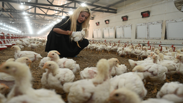 Yüzde 50 hibe desteği aldı, çiftliğini kurdu