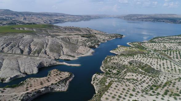 BBC haber yaptı: Yeşil altın üzerine kurulu Türk şehri