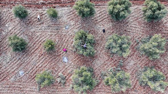 9 ilde 301 milyon liralık yatırım desteği: İşte o şehirler