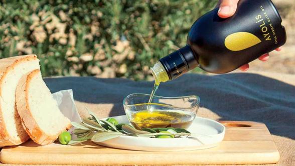 Kuzey Ege'nin zeytin mirası modern üretim anlayışıyla farklılaşıyor