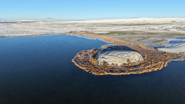 Bu ilginç manzara Türkiye'den