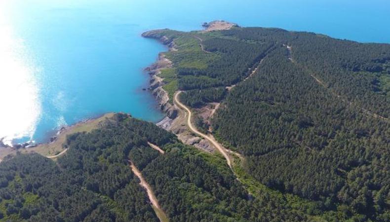 Sinop'ta nükleer santral kurulacak alan havadan görüntülendi
