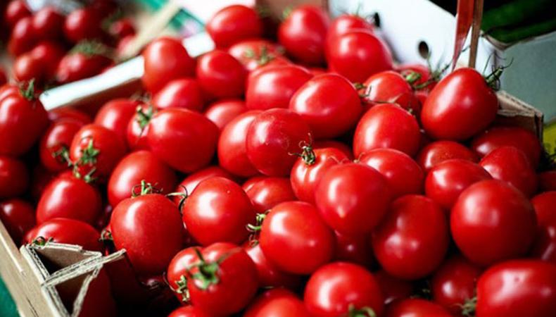 Rusya'ya domates ihracatı 14 kat arttı