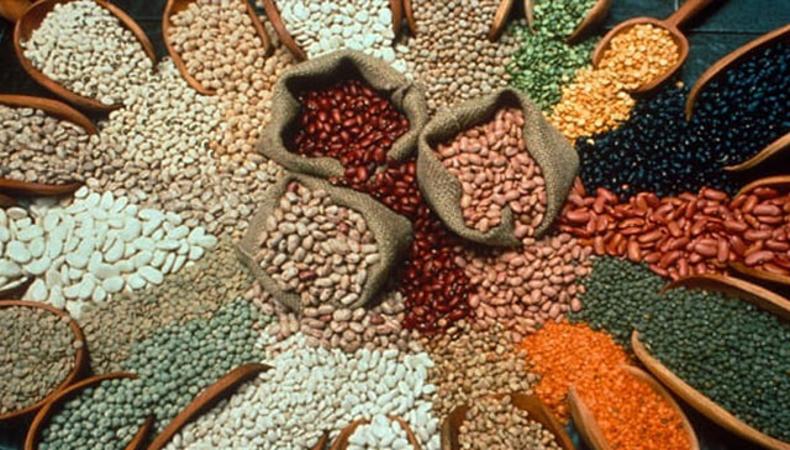 Bakliyata yatırım kazandırıyor