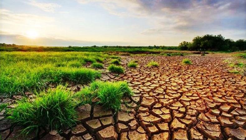 Tarım ve gıdanın geleceği: Zorluklar ve trendler
