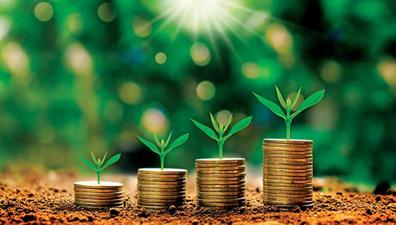 Tarımda finansman bankalar ve hibelerle sağlanıyor