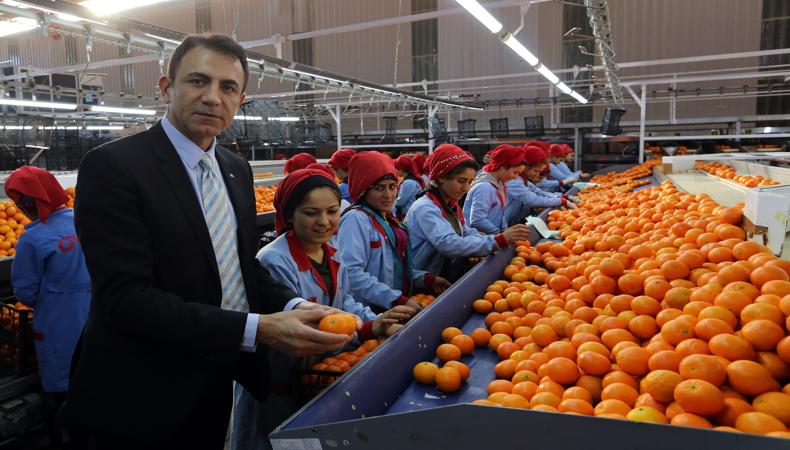 Akdeniz'den ihracat 13.5 milyar dolara ulaştı