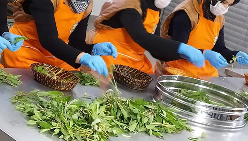 Orman ürünleri e-ticarete taşındı