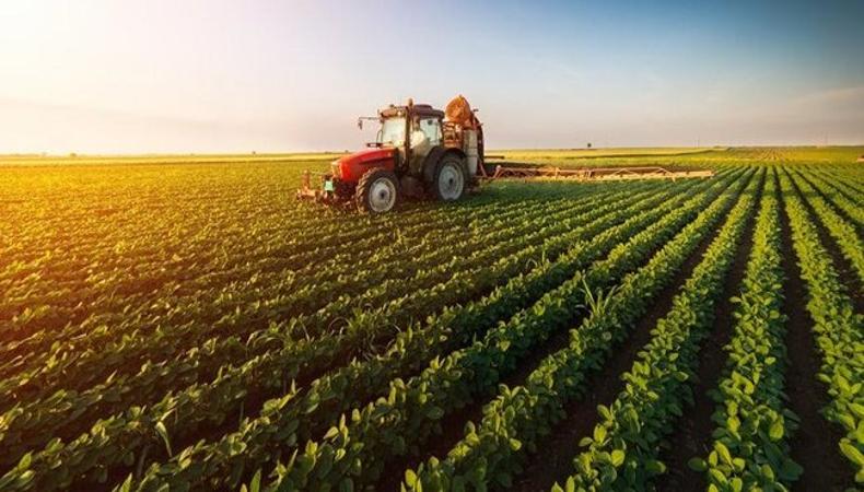 Türk tarımı, yatırımcılar için birçok alanda cazip imkanlar barındırıyor