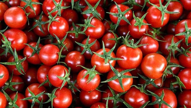 Rusya'dan domates kotası kararı