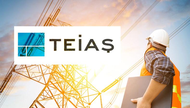 TEİAŞ halka arz yöntemiyle özelleştirilecek