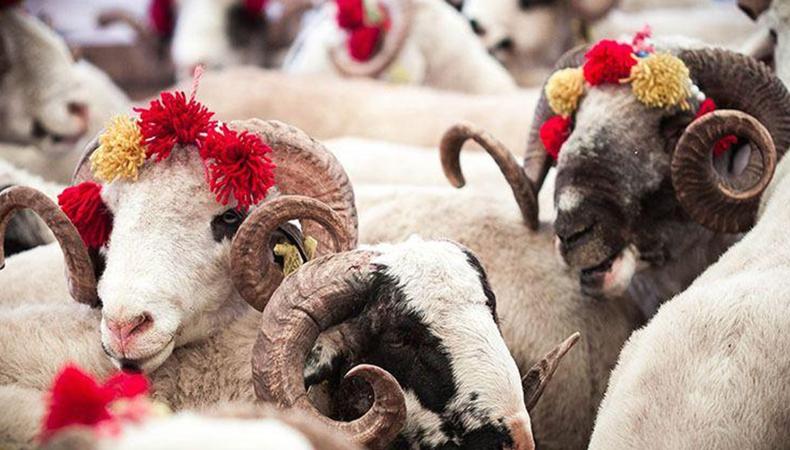 Kurban Bayramı tatili piyasaları canlandıracak