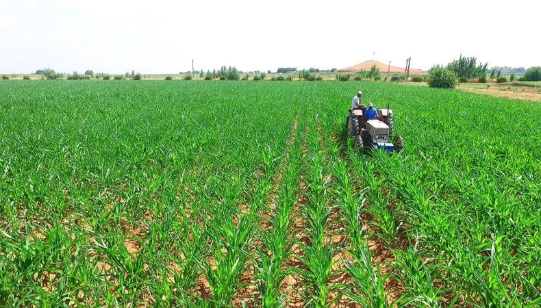 Çiftçiye yıl sonuna kadar 10 milyar lira kredi