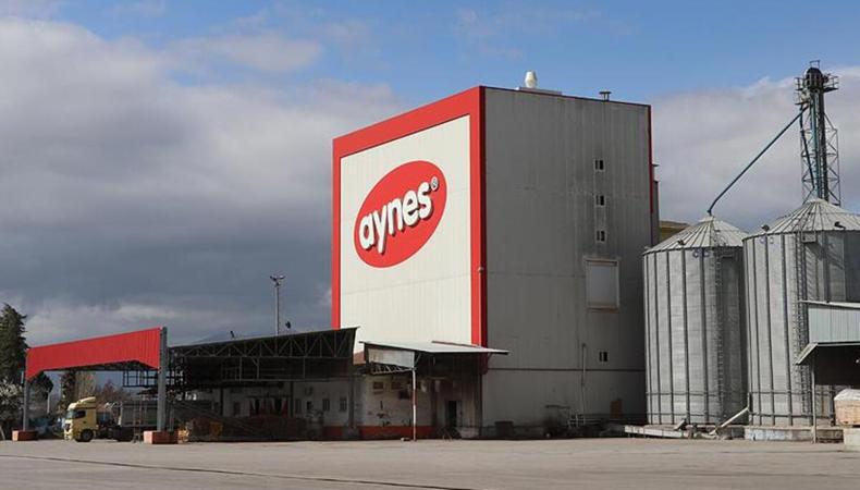 TMSF, Aynes'i satışa çıkardı