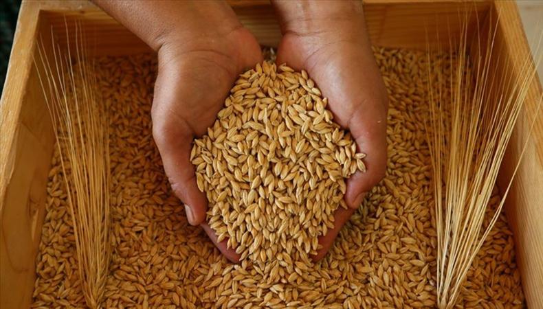 Bakanlıktan arpa fiyatları açıklaması: Gerçeği yansıtmıyor