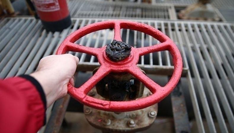 Türkiye'ye şubatta günlük 4 milyon metreküp ilave gaz gelecek