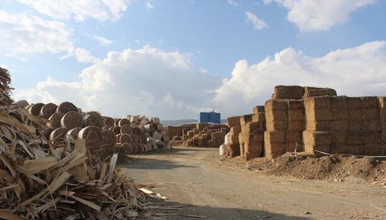 Bitkisel atıklardan üretilen enerji ile milli ekonomiye katkı