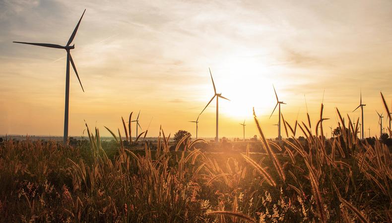 Emisyonları düşürmenin en ucuz yolu, rüzgar ve güneş enerjisi