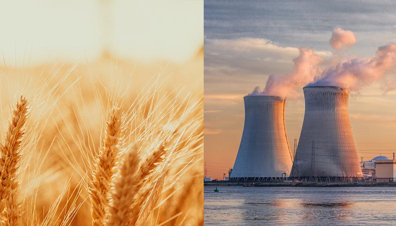 Dünya Bankası: Ukrayna savaşı kaynaklı gıda ve enerji fiyat şokları yıllarca sürebilir