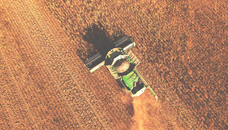 Ukrayna-Rusya arasındaki savaş, gıda güvenliğini riske sokuyor