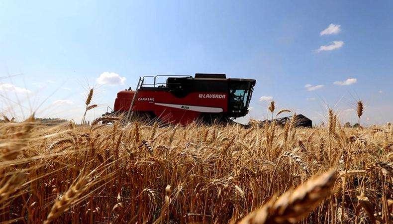 İthal edilen buğdaylar işlenip katma değerli ihracata dönüşüyor