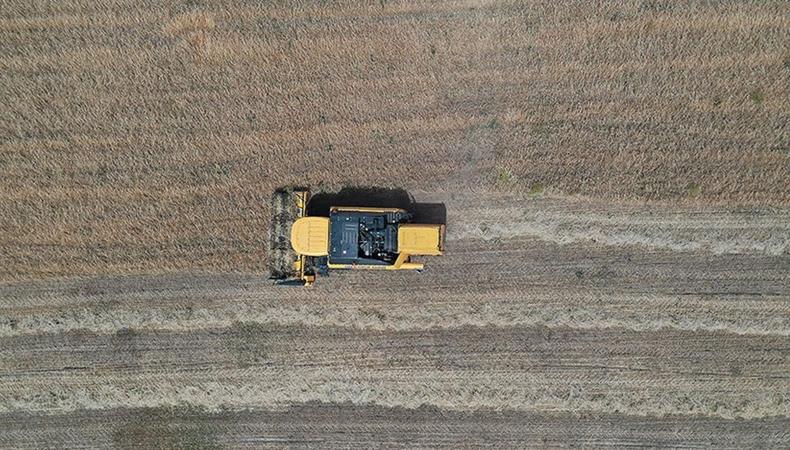 Tarımda yeni destekleme modeli gelecek 'kent tarımı' hayata geçirilecek