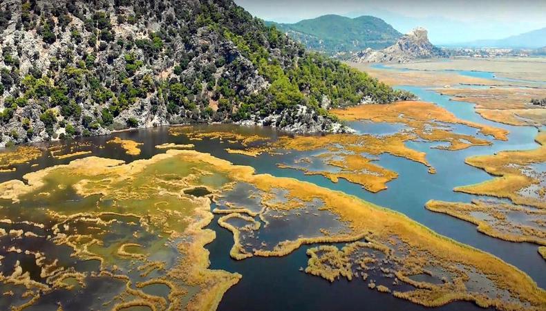 Dalyan Kanalı'nın labirent gibi sazlıkları görenleri hayran bırakıyor