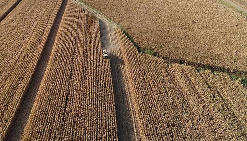 Tarımsal kalkınmada "organize" atak