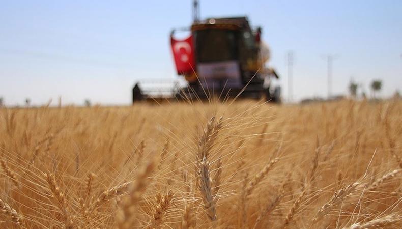 TMO'nun yüksek alım fiyatları tarımsal üretimin artmasına destek olacak
