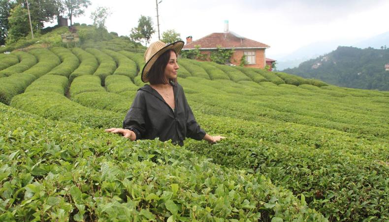 Rize'de 'çay turizmi' bereketi