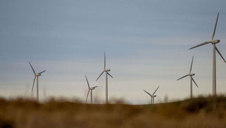 Türkiye'nin rüzgar enerjisi sektörü Almanya'ya çıkartma yapacak