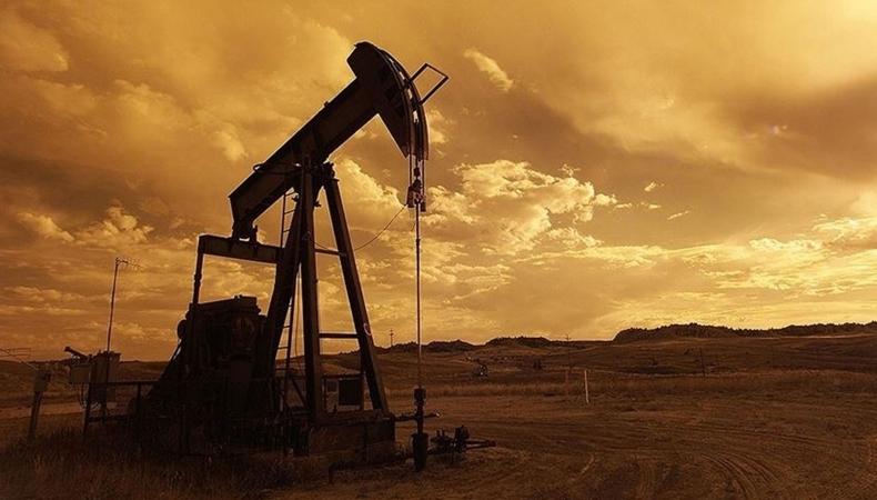 OPEC+ grubunun petrol kararının ardından Beyaz Saray'dan stratejik rezerv açıklaması