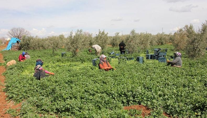 Depremzede kadınlar 8 Mart'ta da üretime destek oluyor