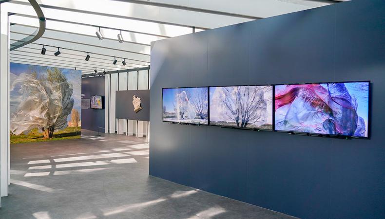 İGA ART'ta Kavukcu sergisi: 'Doğa'