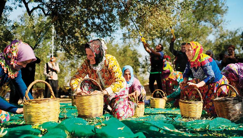 İhracat odaklı büyüme planına yatırım yapılıyor