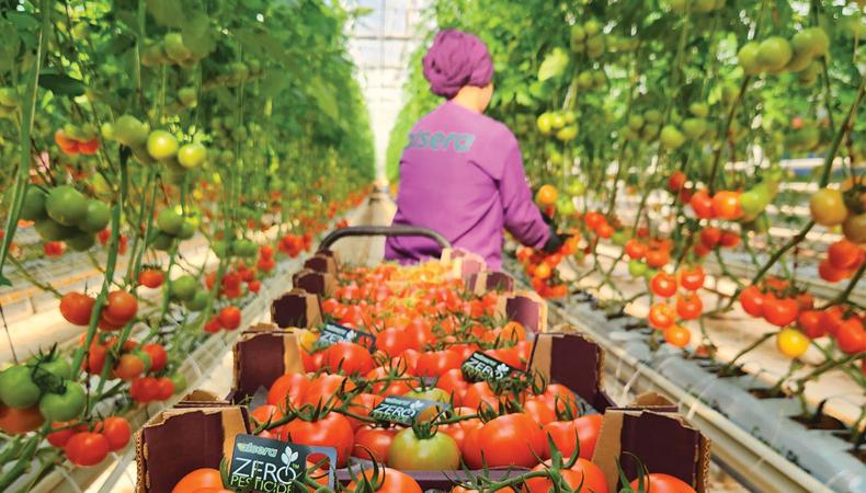 Tarımda dönüşümün anahtarı: Teknoloji