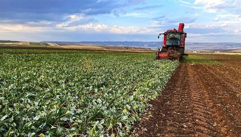 Çiftçilere 5.5 milyar TL destek ödemesi yapılacak