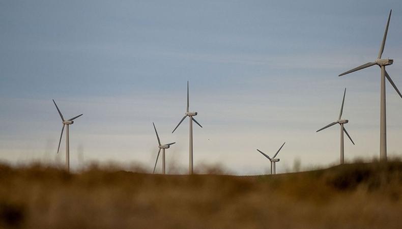 Türkiye'nin rüzgar enerjisinde yükselişi: 2025 dönüm noktası