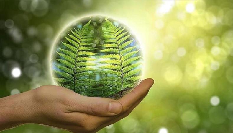 Küresel hidrojen yatırımları 110 milyar doları aştı