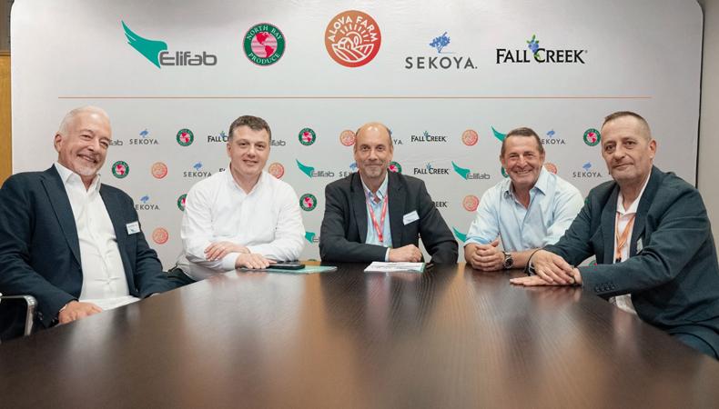 Türkiye, yaban mersininde global güç olma yolunda