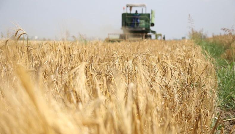 Tarımsal girdi fiyat endeksi verileri açıklandı