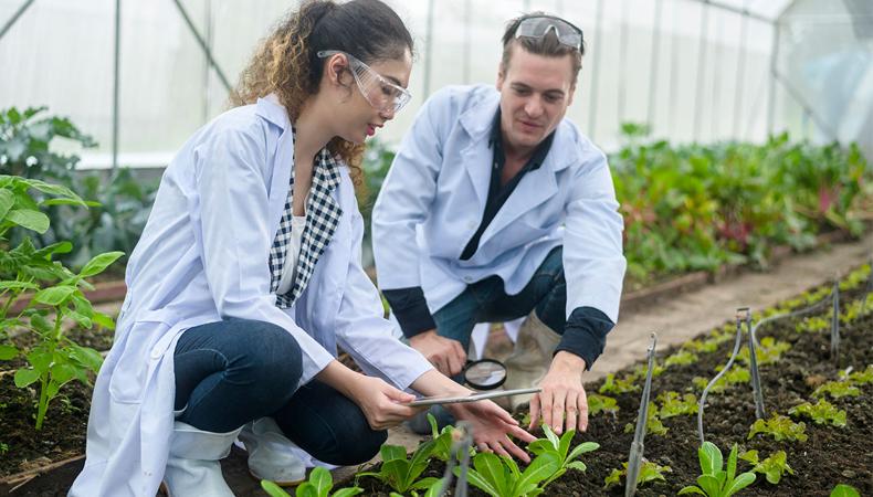 Gıda güvenliği artık bir kültür olmalı