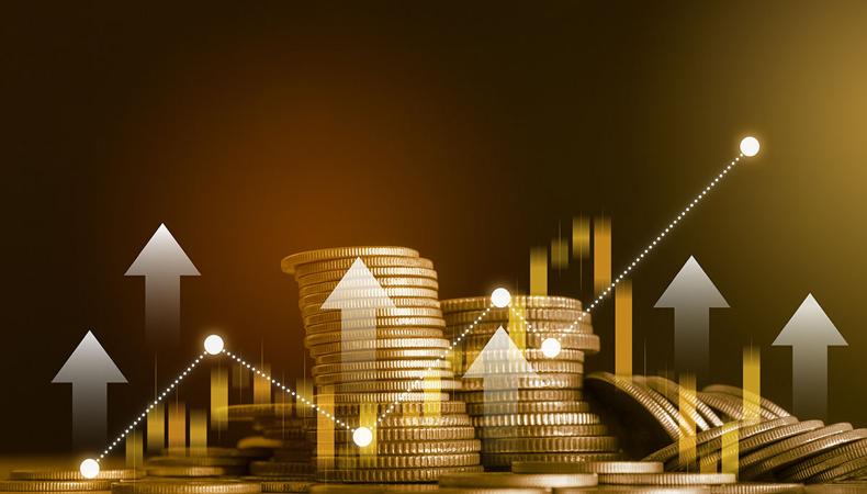 2025'te en çok hangi yatırım aracı kazandırdı?