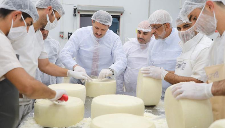 Şanlıurfa'nın peyniri dünya sofralarında